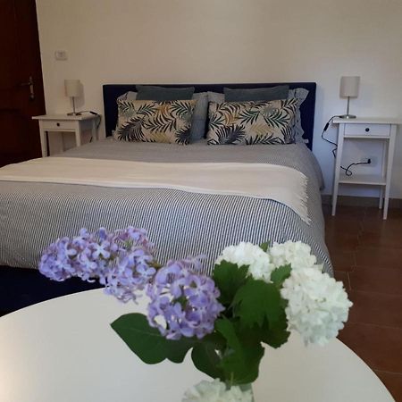 B&B Casa Di Laura 贝内文托 外观 照片